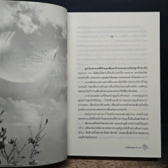 มณีแดนสรวง รูปที่ 7