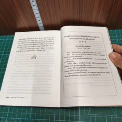 หนังสือ ดงดอกเหมย รูปที่ 8