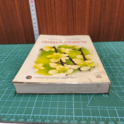 หนังสือ ดงดอกเหมย รูปที่ 4