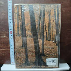 ตามทางคาวบอย - พิมพ์สี รูปที่ 2