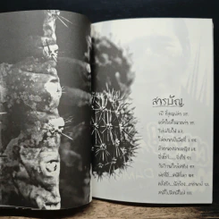 สะดุดหนามตุ๊ด - เกย์นที ธีระโรจนพงษ์ รูปที่ 9