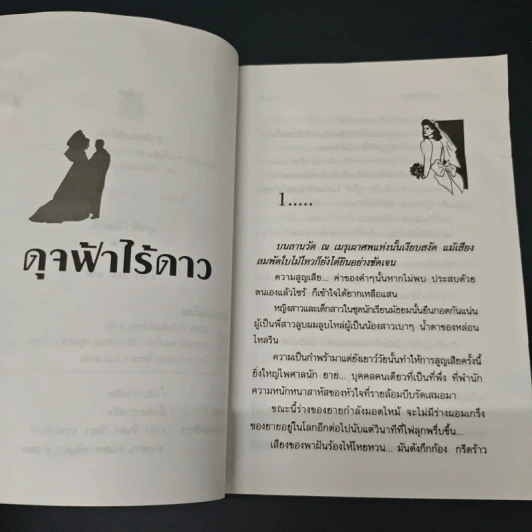ดุจฟ้าไร้ดาว - เกตุวดี รูปที่ 6