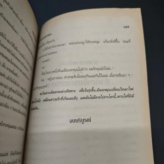 พ่อไก่แก่แม่ปลาช่อน - นันทนา วีระชน รูปที่ 8
