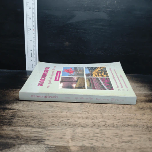 จากความทรงจำ อุบาสิกาถวิล(บุญทรง)วัติรางกูล รวมเรื่อง เล่ม 2 รูปที่ 3