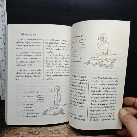 จากความทรงจำ อุบาสิกาถวิล(บุญทรง)วัติรางกูล รวมเรื่อง เล่ม 2 รูปที่ 9