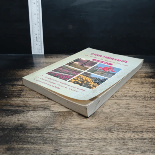 จากความทรงจำ อุบาสิกาถวิล(บุญทรง)วัติรางกูล รวมเรื่อง เล่ม 2 รูปที่ 4