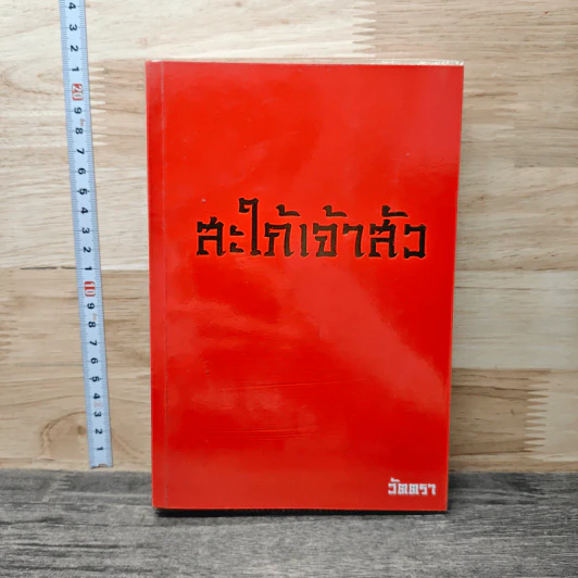 สะใภ้เจ้าสัว รูปที่ 1