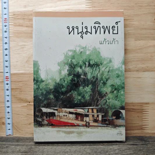 หนุ่มทิพย์ รูปที่ 1