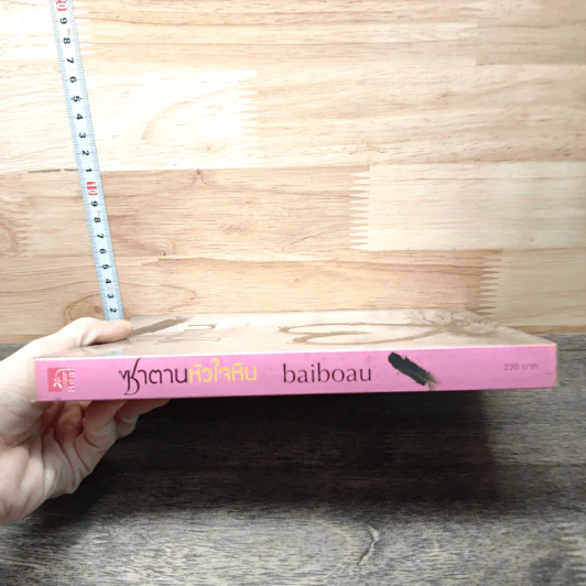 ซาตานหัวใจหิน - ใบบัว Baiboau รูปที่ 2