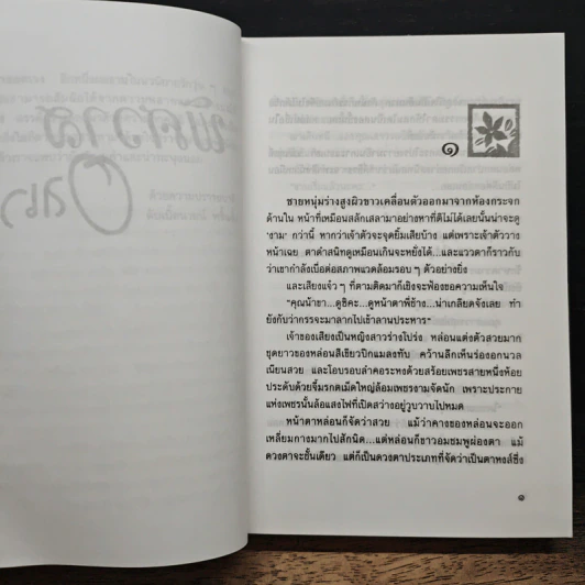 พิศวาสอลเวง - กันยามาส รูปที่ 7