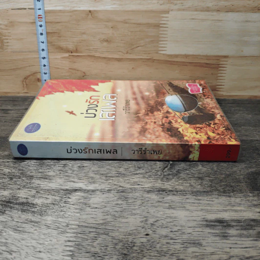 หนังสือ บ่วงรักเสเพล รูปที่ 2