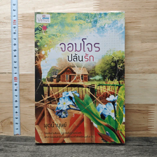 จอมโจรปล้นรัก - พุดน้ำบุษย์ รูปที่ 1