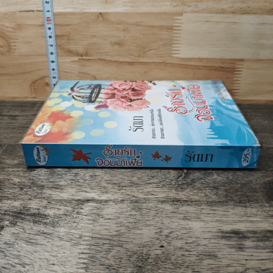 หนังสือ ร่ายรักจอมมาเฟีย รูปที่ 2