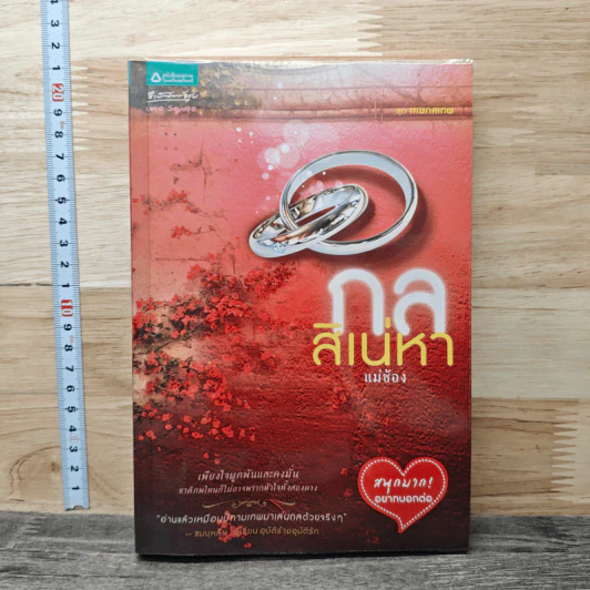 กลสิเน่หา - แม่ช้อง รูปที่ 1