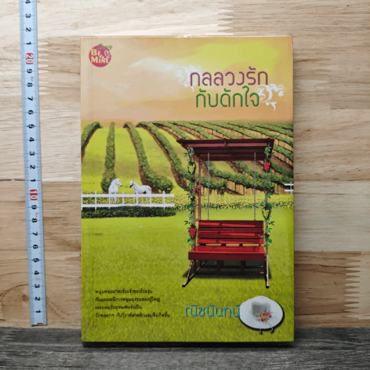 กลลวงรักกับดักใจ - ณิชนันทน์ รูปที่ 1
