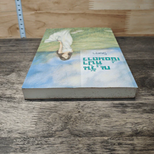หนังสือ ณ วันที่ฟ้าเชื่อมดาว รูปที่ 4