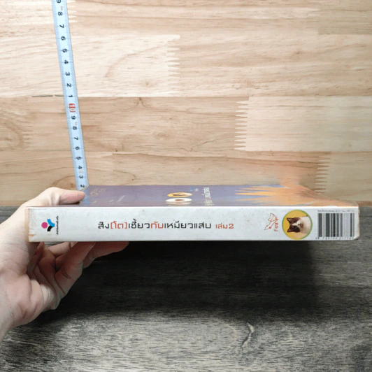 สิงห์(โต)เซี้ยวกับเหมียวแสบ เล่ม 2 - Fox รูปที่ 2