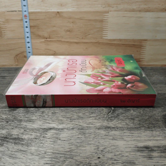 หนังสือ นางบำเรอตีทะเบียน รูปที่ 2