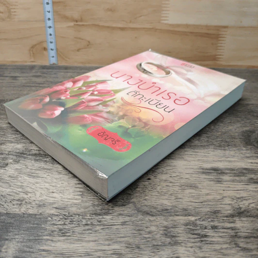 หนังสือ นางบำเรอตีทะเบียน รูปที่ 3