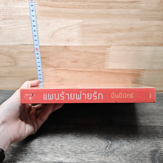 แผนร้ายพ่ายรัก - ปิ่นปินัทธ์ รูปที่ 2