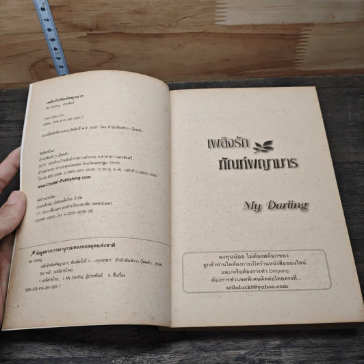 เพลิงรักทัณฑ์พญามาร - my darling รูปที่ 6