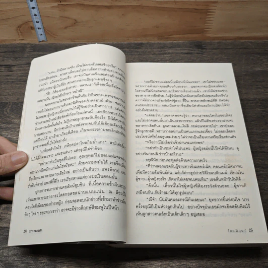คู่ร้ายหมายรัก - มิถุนา รูปที่ 7