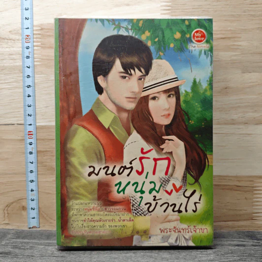 มนต์รักหนุ่มบ้านไร่ - พระจันทร์เจ้าขา รูปที่ 1