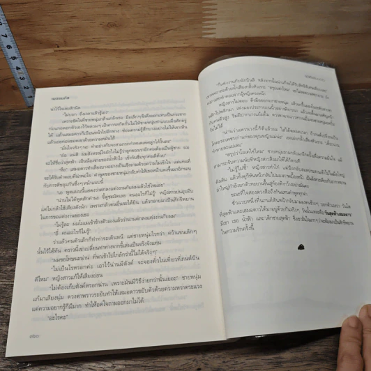 หนังสือ สุดฟ้าเสมอดาว รูปที่ 8