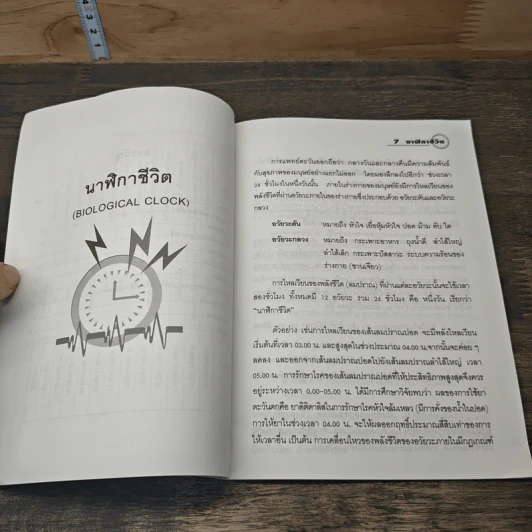 นาฬิกาชีวิต Biological Clock - อ.นวลฉวี ทรรพนันทน์ รูปที่ 7