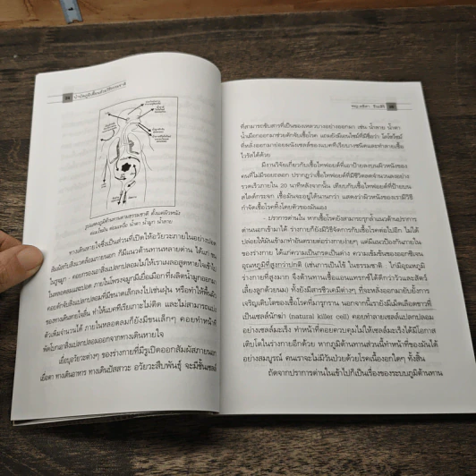 บำบัดภูมิเพี้ยน ด้วยวิธีธรรมชาติ - พญ.ลลิตา ธีระสิริ รูปที่ 7