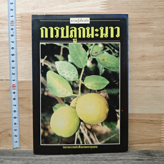 ความรู้เกี่ยวกับการปลูกมะนาว รูปที่ 1