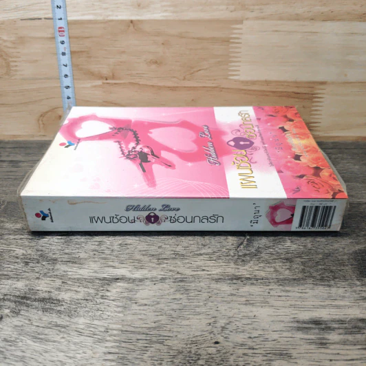 Hidden Love แผนซ้อนซ่อนกลรัก รูปที่ 2