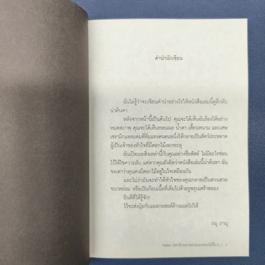 Fallen เซรามิกแตกสลายและดอกไม้อื่นๆ - ภมุ ภามุ รูปที่ 6