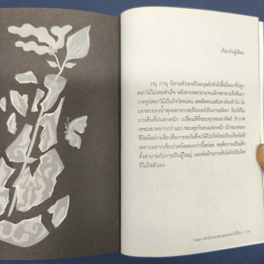 Fallen เซรามิกแตกสลายและดอกไม้อื่นๆ - ภมุ ภามุ รูปที่ 10