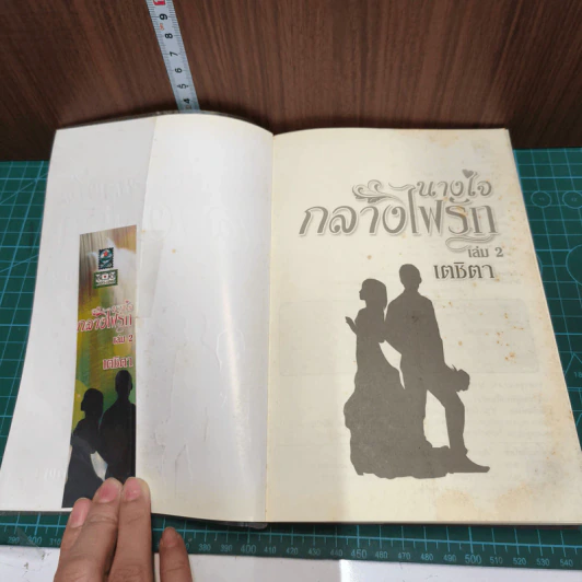 นางใจกลางไฟรัก 2 เล่มจบ - เตชิตา รูปที่ 8