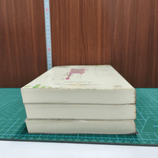 ความรู้สึกดี ที่เรียกว่ารัก ชุด หอหลอนรัก 3 เล่ม - นภชล, Andra รูปที่ 5
