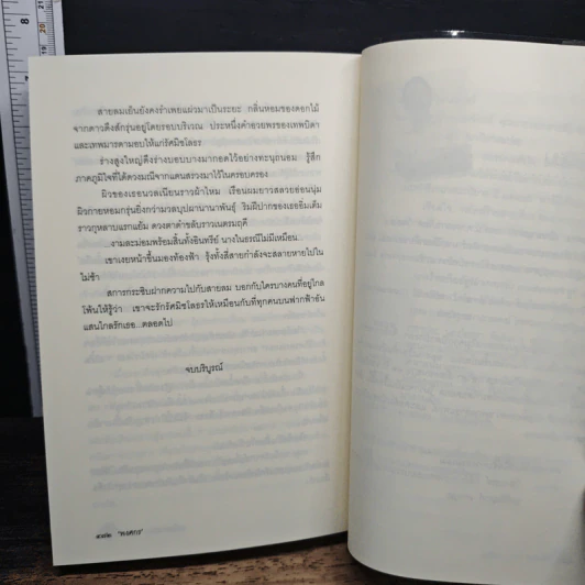 มณีแดนสรวง รูปที่ 8
