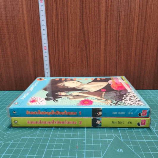 รักแสบใสสะดุดใจยัยแก้มแดง 2 เล่มจบ - Rose Quartz รูปที่ 2