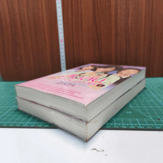 สืบลับ รักอันตราย 2 เล่มจบ - Zaza รูปที่ 3