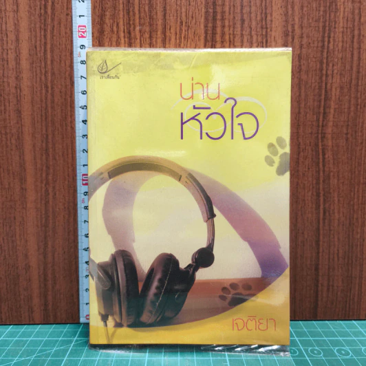 น่านหัวใจ - เจติยา รูปที่ 1