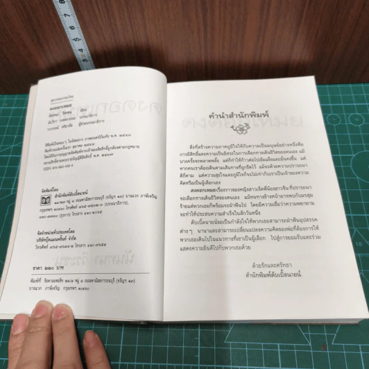 หนังสือ ดงดอกเหมย รูปที่ 6