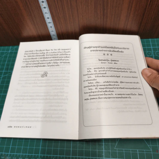 หนังสือ ดงดอกเหมย รูปที่ 8