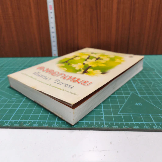หนังสือ ดงดอกเหมย รูปที่ 3