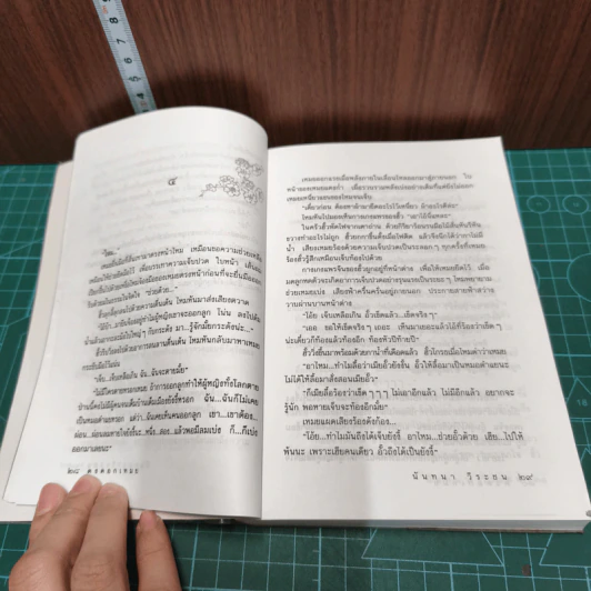 หนังสือ ดงดอกเหมย รูปที่ 7