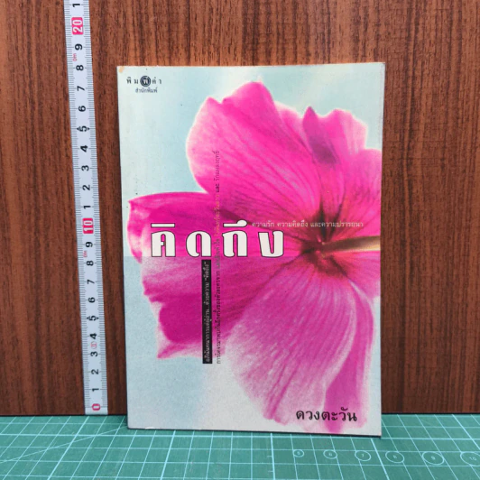 คิดถึง - ดวงตะวัน รูปที่ 1