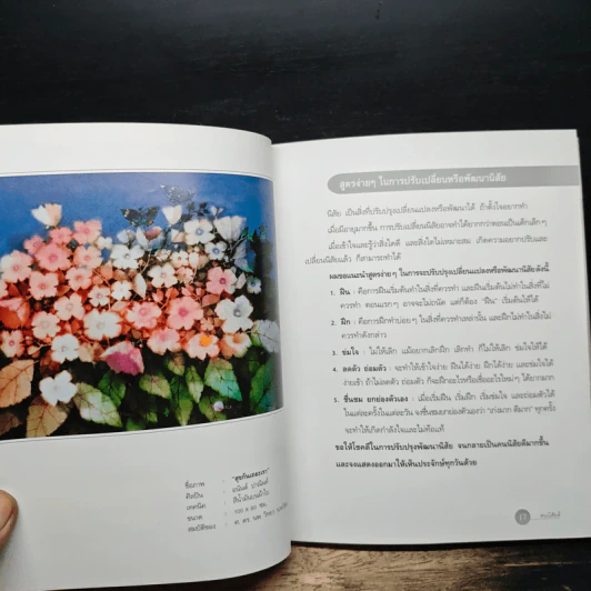 คนนิสัยดี - ศ.ดร.นายแพทย์วิทยา นาควัชระ จิตแพทย์ รูปที่ 11
