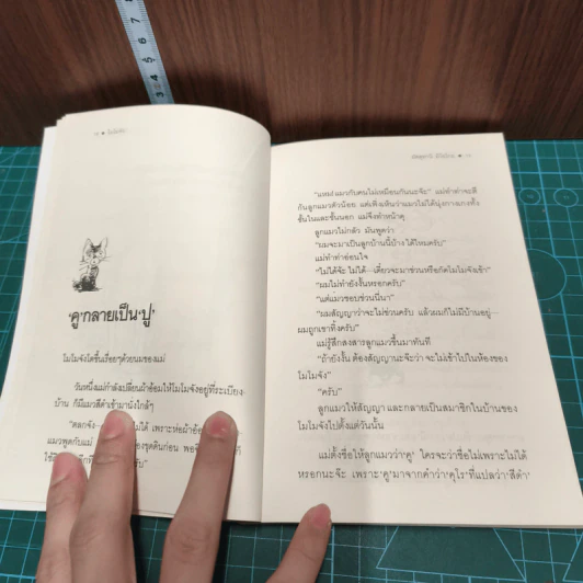 โมโมจัง - มัตสุทานิ มิโยโกะ รูปที่ 9