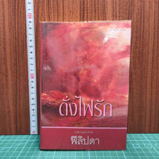 ดั่งไฟรัก รูปที่ 1