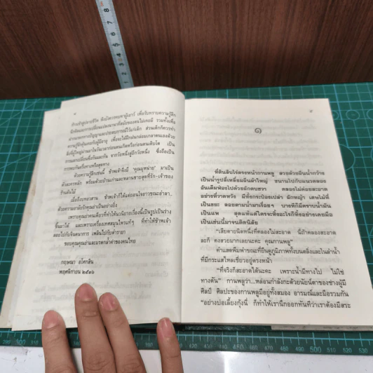 อุทยานเครื่องเทศ - กฤษณา อโศกสิน รูปที่ 8
