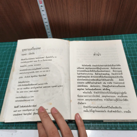 อุทยานเครื่องเทศ - กฤษณา อโศกสิน รูปที่ 7